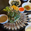 오늘막회 | 대전 봉명동 모임 술집 깻잎막회 제주산 고등어회 맛있어요