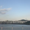 마따마따 이미지