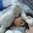 선데이빌리지 네이버블로그