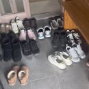 꿈꾸는 언덕 | 장흥 별빛 밤바다 근처 카페 꿈꾸는바다 내돈내산 솔직후기