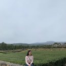 다원풍력