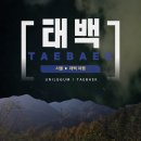 태백종합관광안내소 | 혼자 태백 1박 2일 버스 여행_1일차 여행 일지(1) (태백시외버스터미널, 태백역, 태백시종합관광안내소)