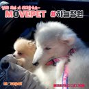 안나펫살롱 | 광산구펫택시, 광주애견카페 : 하늘정원