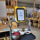 동치미막국수 | 경기 가평 삼교리 동치미 막국수 내돈내산 솔직후기