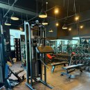 파인짐 | 부산 사하구 헬스장 디파인짐에서 제대로 운동해본 후기