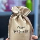 고려대 김세원 태권도 이미지