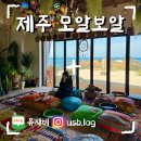 발리인제주 민박 | [제주_모알보알] 발리 감성 낭낭한 이국적인 카페 '모알보알' 오픈런 후기 (feat. 인생샷 건지는 구도)