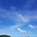유종호 행정사 사무소 이미지