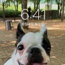 멍구야 놀자 이미지