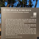 서천 마량리 동백나무 숲 | [서천]마량리 동백나무 숲 방문 후기 1월말 개화 상태