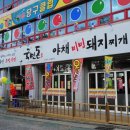 국민돼지 이미지