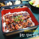 생생장어 | 동탄 생생장어 맛집 장어덮밥 대사이즈 먹고 온 후기