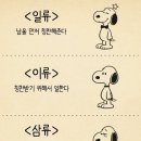 꽃보다예쁘개 이미지