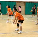 강진여자중학교 이미지