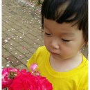 달미공원 이미지