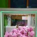 뽑기1번지 이미지