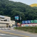 새물안개펜션 | 매월 1일 9시에 안 깨면 평생 못 잡아요… 밀양 도래재자연휴양림 A동 B동 바베큐 예약 방법 그리고 1박...