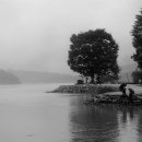 머리풍경 - 달서구 | 머리풍경
