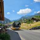 레드바이크 | [스위스] 그린델발트 피르스트 하이킹과 트로티 바이크 액티비티 후기