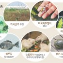 미래소리