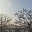 그해, 경주 | 경주 자쿠지 펜션 [그해, 경주]