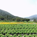 안평역 2. 4번출구 이미지