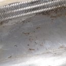 세븐일레븐 대구온누리점 네이버블로그