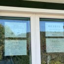 장찬길 | 대전 근교 차박 애견동반 가능한 마로니에숲 캠핑장 명당 C열 내돈내산 솔직후기