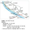 신성초 이미지