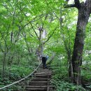 백운산(원주) / 백운산자연휴양림 울창한 숲길 이미지