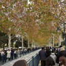 주토피아 | 상하이 디즈니랜드 주말 오픈런없이 트론,주토피아 후기