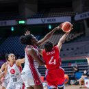 아이리스 이미지