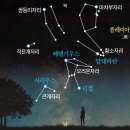 시리우스 중앙일보