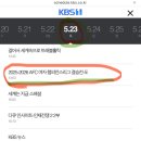 벨레자