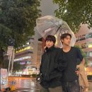 프로필라이즈