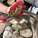 파티쉘의집 | 집들이 홈파티 음식 추천 | 통영굴 삼배체굴 회 &amp; 하프쉘 구이 레시피