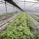 봉재농장 이미지