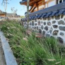 함평예촌 이미지