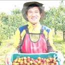 김영수농장 이미지