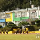 강진옴천초등학교 이미지