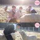 영민목장 이미지