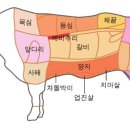 참숯한우 완도 갈비살 네이버블로그
