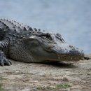 배기공원 이미지