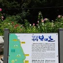 정자정동
