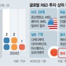 이바이브 이미지