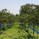 동이농장 이미지