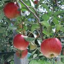 햇살찬농장 이미지