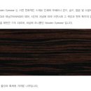 안경나무안경원 이미지