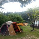 로뎀나무아래 이미지