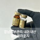 이서에르 | 강남피부관리 내돈내산 엘스킨라운지 단골 에스테틱샵 추천(에르모듀 플라즈마)
